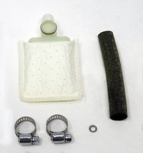 Load image into Gallery viewer, Photo - Primary