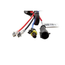 Load image into Gallery viewer, Diode Dynamics HID Bulb D2H 6000K (Pair)