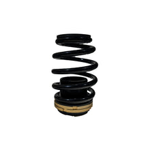 Load image into Gallery viewer, BLOX Racing 12-13 Honda Civic SI Plus Series Fully Adjustable Coilovers Coilovers BLOX Racing