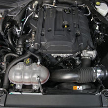 Load image into Gallery viewer, Photo - Mounted