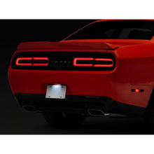 Load image into Gallery viewer, Photo - Close Up