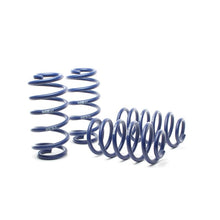 Load image into Gallery viewer, H&R 98-04 Audi A6 Quattro (AWD) 4B Race Spring