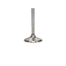 Load image into Gallery viewer, User 3