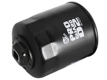 Load image into Gallery viewer, aFe Pro GUARD D2 Oil Filter 2.9in OD x 2.9in HT aFe