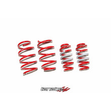 Load image into Gallery viewer, Tanabe NF210 Springs 15-16 Lexus NX200T F-Sport FWD