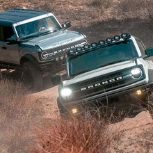 Load image into Gallery viewer, Photo - Mounted