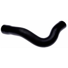Load image into Gallery viewer, Gates 77-79 Ford F Series V-8 351 Lower Molded Coolant Hose