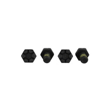 Load image into Gallery viewer, Ford Racing Hardware Kits - Other Ford Racing 2015-2018 Mustang Super 8.8 Ring Gear Bolt Kit (10pcs)