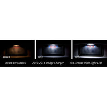 Load image into Gallery viewer, User 2