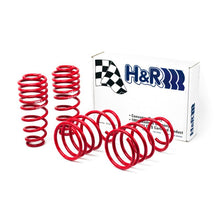 Load image into Gallery viewer, H&R 05-09 Ford Mustang/Convertible/GT/Shelby GT/Shelby GT-H V6/V8 Race Spring