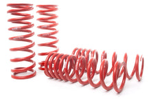 Load image into Gallery viewer, H&R 06-12 Ferrari 599 GTB F141 Sport Spring