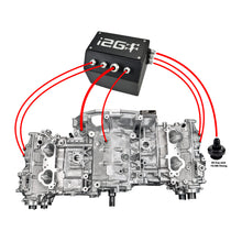 Load image into Gallery viewer, IAG-ENG-7170-08.jpg