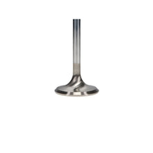 Load image into Gallery viewer, User 3