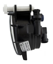 Load image into Gallery viewer, Photo - Unmounted