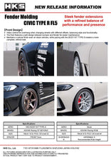 Load image into Gallery viewer, HKS Fender Molding FL5 | 53004-AH005