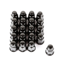 Load image into Gallery viewer, Rugged Ridge Wheel Lug Nut Set of 20 Black 1/2-20 Rugged Ridge