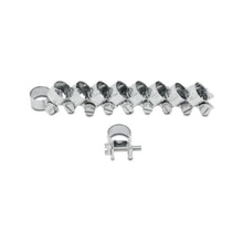 Load image into Gallery viewer, Photo - Primary