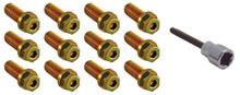 Load image into Gallery viewer, Photo - Primary