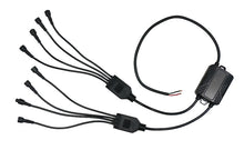 Load image into Gallery viewer, Photo - Primary