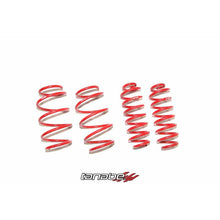 Load image into Gallery viewer, Tanabe NF210 Springs 2016 Toyota Prius