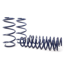 Load image into Gallery viewer, H&R 14-19 Ford Escape (2WD/4WD) 4 Cyl/V6 Adventure Raising Spring