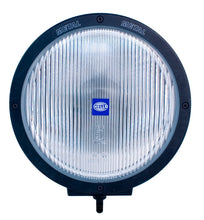 Load image into Gallery viewer, Photo - Close Up