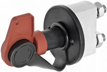 Load image into Gallery viewer, Photo - Primary