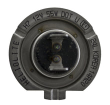 Load image into Gallery viewer, Photo - Close Up