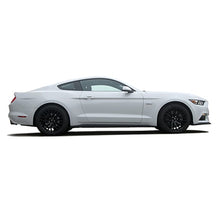 Load image into Gallery viewer, HURST STAGE 1 PERFORMANCE SPRING KIT - FORD MUSTANG