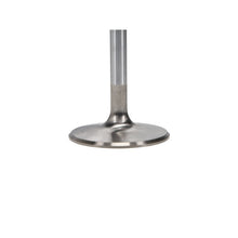 Load image into Gallery viewer, User 3