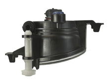 Load image into Gallery viewer, Photo - Unmounted