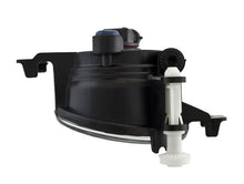 Load image into Gallery viewer, Photo - Unmounted