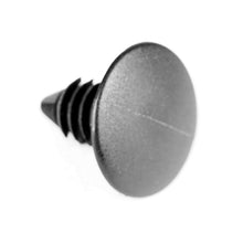 Load image into Gallery viewer, Photo - Unmounted