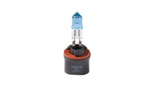 Load image into Gallery viewer, Putco Night White 880 - Pure Halogen HeadLight Bulbs Bulbs Putco
