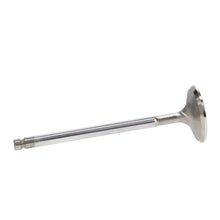 Load image into Gallery viewer, Photo - out of package