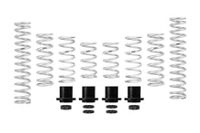 Load image into Gallery viewer, Eibach 18-21 Polaris RZR XP Turbo Pro-UTV Stage 2 Performance Spring System (Set of 8 Springs) Eibach