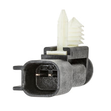 Load image into Gallery viewer, Photo - out of package