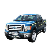Load image into Gallery viewer, Westin 2004-2014 Ford F-150 (6.75 ft Bed)(Excl. Heritage Edition) Platinum Oval Bed Rails - SS Westin
