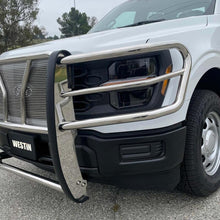 Load image into Gallery viewer, Westin 21-22 Ford F-150 (Excl. Raptor/Platinum) HDX Grille Guard - SS Westin