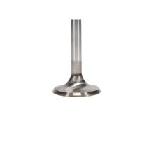 Load image into Gallery viewer, User 3