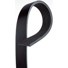 Load image into Gallery viewer, Gates 2005 Nissan Frontier V-6 4.0L Serpentine Standard V-Ribbed Belt