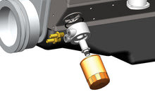 Load image into Gallery viewer, 15733-Illustration.jpg