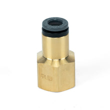 Load image into Gallery viewer, Photo - Primary