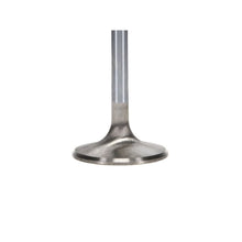 Load image into Gallery viewer, User 3