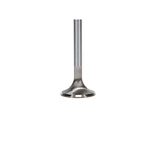 Load image into Gallery viewer, User 3