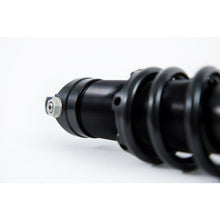 Load image into Gallery viewer, User 1