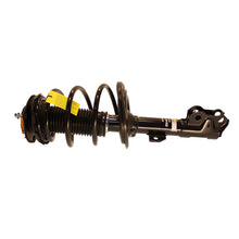 Load image into Gallery viewer, Photo - out of package