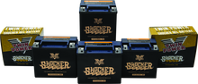 Load image into Gallery viewer, Twin Power YTX-14L Shocker Gel Battery Replaces H-D 65958-04 220 CCA Misc Powersports TwinPower