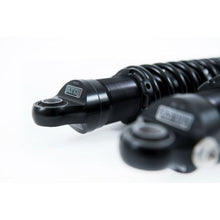 Load image into Gallery viewer, User 1