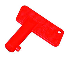 Load image into Gallery viewer, Photo - Close Up